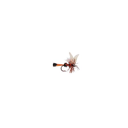 #12 Royal Coachman Dry Fly - 2 Pk.
