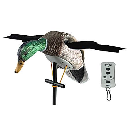 Lucky Duck XHDI