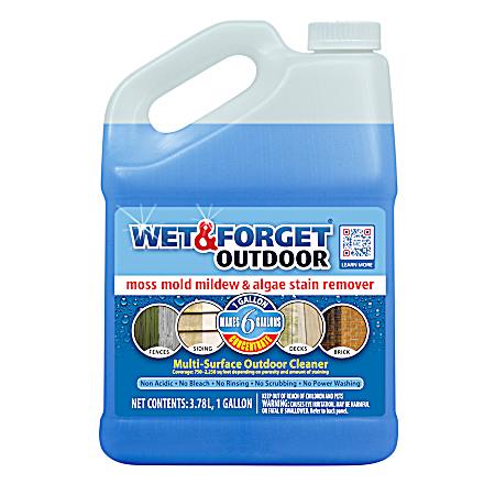 1 Gal Multi-Surface Outdoor Cleaner Concentrate