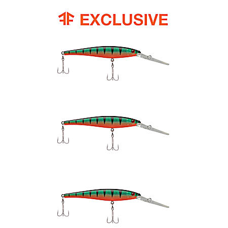 Orange Belly Perch Flicker Minnow
