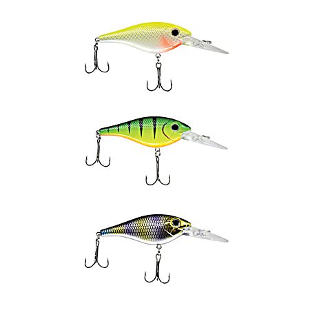 Shad 7 Pro Pack - 3pk