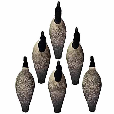 Wobbler Alpha Full Form Shell Variety Pack Canada