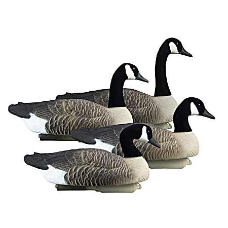 Alpha Magnum Goose Floater Canada - 4pk