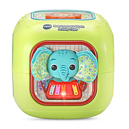 Baby Busy Learners Music Activity Cub