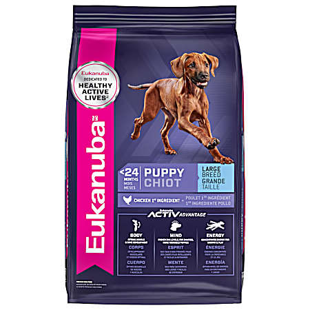 40 lbs Large Breed Puppy Dry Dog Food