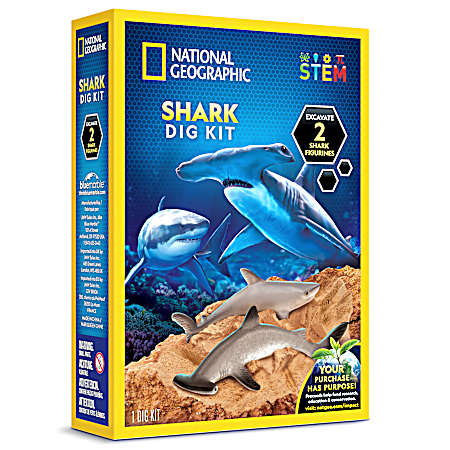 Shark Tooth Dig Kit