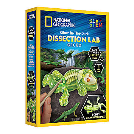 Glow-in-the-Dark Gecko Dissection Lab