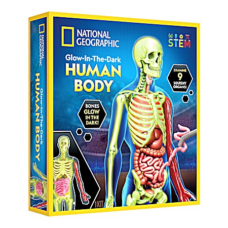 Glow-In-The-Dark Human Body