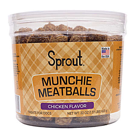 Munchie Meatballs Chicken Flavor Dog Treats, 22 oz