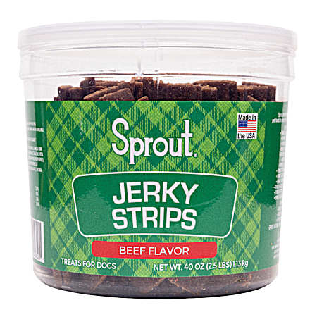 Jerky Strips Beef Flavor Dog Treats, 40 oz