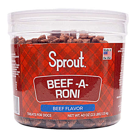 Beef-A-Roni Beef Flavor Dog Treats, 40 oz