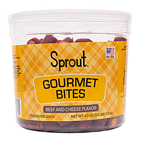 Gourmet Bites Beef & Cheese Flavor Dog Treats, 40 oz