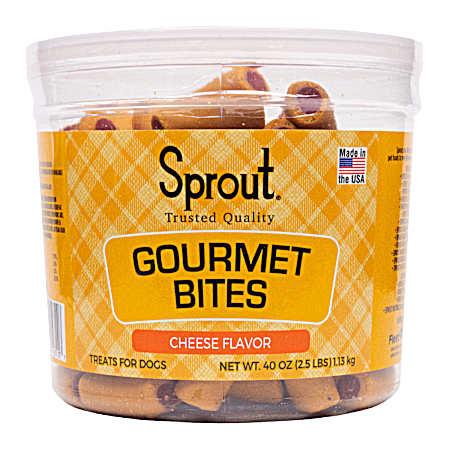 Gourmet Bites Beef & Cheese Flavor Dog Treats, 40 oz