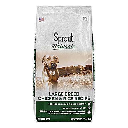 Naturals Adult Large Breed Chicken & Rice Dry Dog Food
