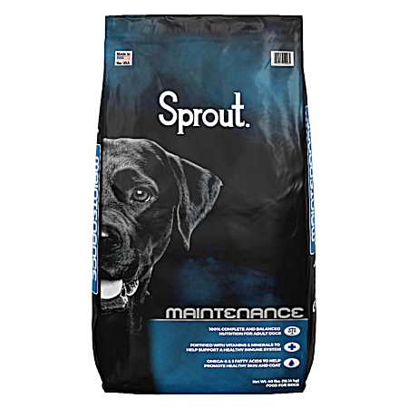 Adult Maintenance Chicken Dry Dog Food