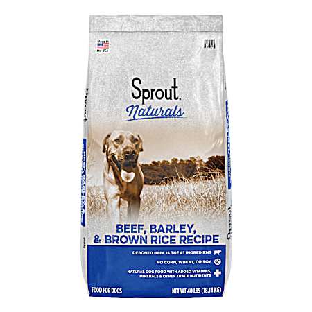 Naturals Adult Beef, Barley & Brown Rice Dry Dog Food