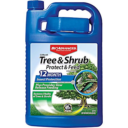 1 gal. 12 Month Tree & Shrub Protect & Feed - Concentrate