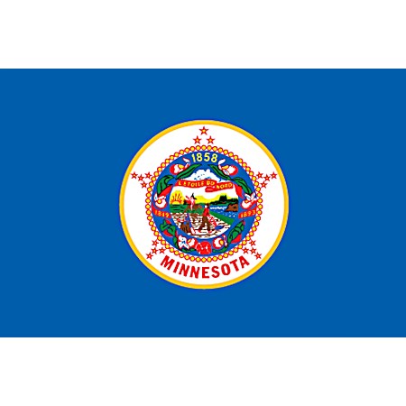 2 ft x 3 ft Minnesota State Flag
