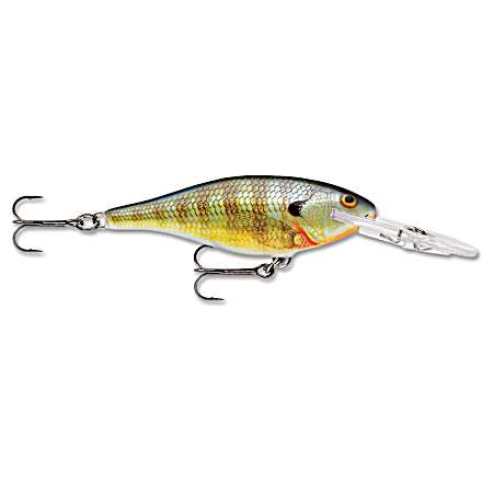 Shad Rap - Bluegill
