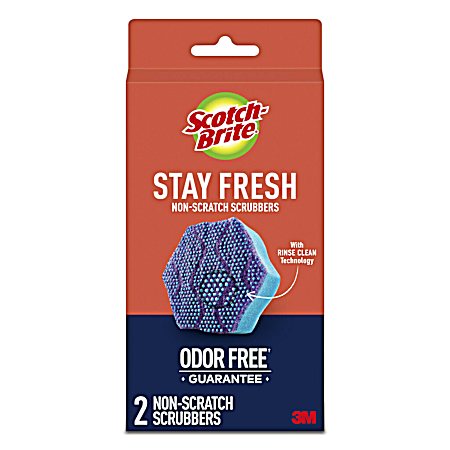 Stay Fresh Non-Scratch Scrubbers - 2 ct