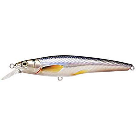 Sinking Golden Shiner - Silver/Blue