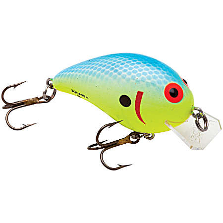 Square A - B05 Oxbow Bream