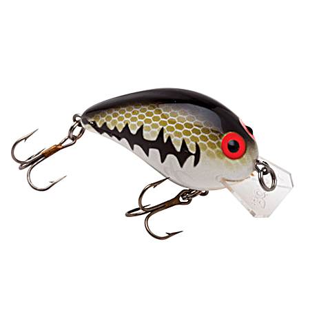 Square A - B05 Baby Spotted Bass/Orange