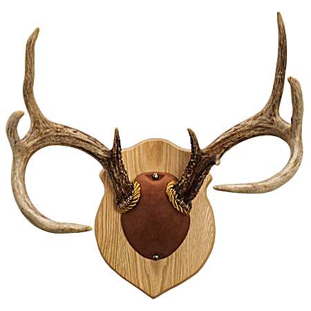 Solid Oak Antler Mount Kit