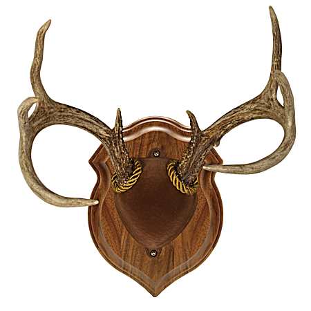 Deluxe Walnut Antler Mount Kit
