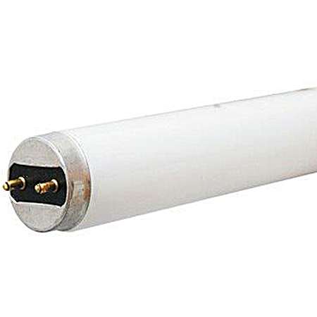 32W T8 Active Spaces Bulb - 2 Pk.
