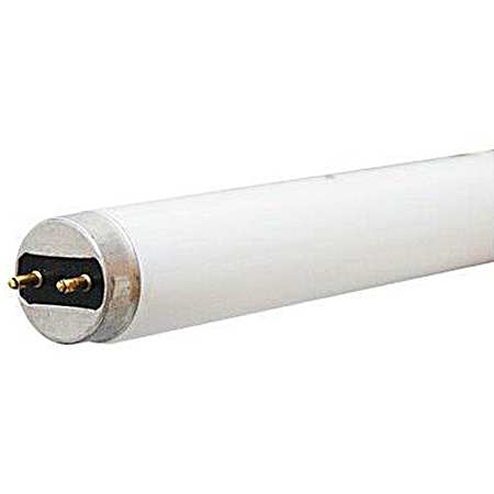 32W T8 Closet & Laundry Bulb - 2 Pk.
