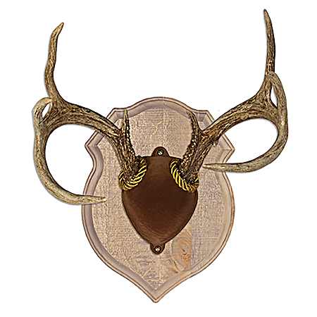 Deluxe Rustic Antler Mount Kit