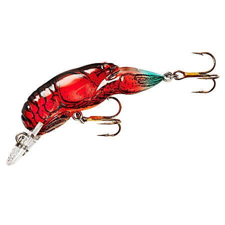 Middle Wee Crawfish - Nest Robber