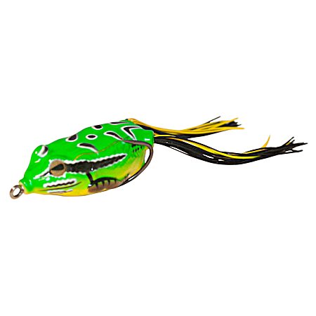 Frog - Green Frog