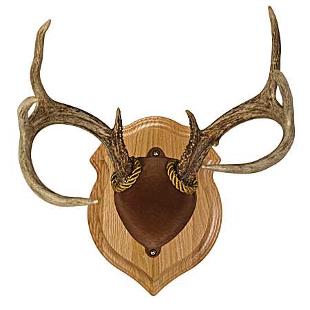 Deluxe Oak Antler Mount Kit