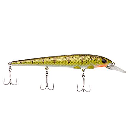 Yellow Perch Hit Stick Crankbait