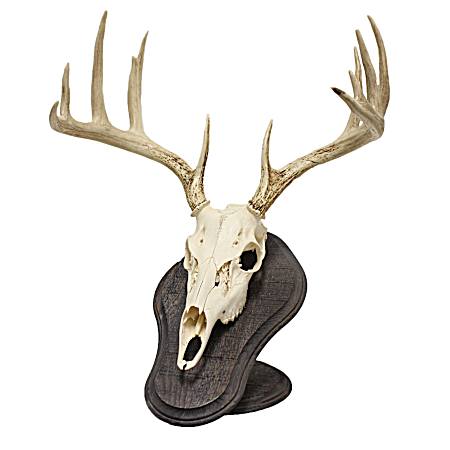 Rustic Finish Deluxe Euro Eskull Display Kit