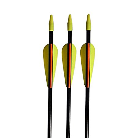 Barnett Jr. Archery Arrows for Kids Bows  3-Pack of Arrows