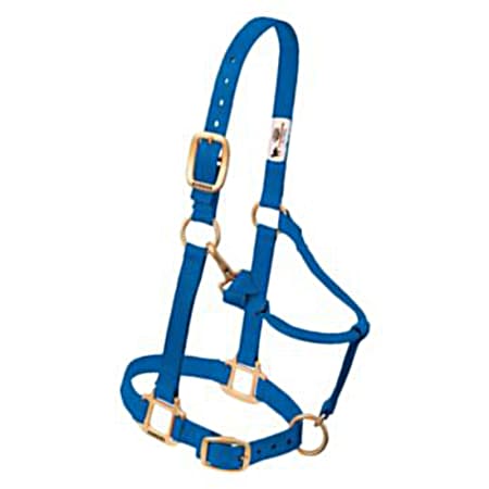 1 in Blue Non-Adjustable Horse Nylon Halter