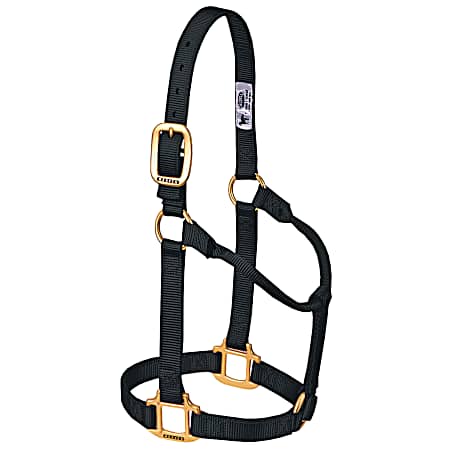 Non-Adjustable Nylon Horse Halter
