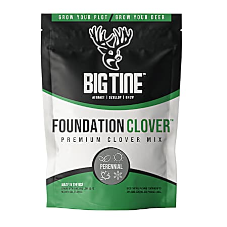 4 lbs Foundation Clover Premium Clover Mix