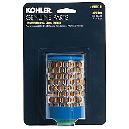 Air Filter with PreCleaner for CH270