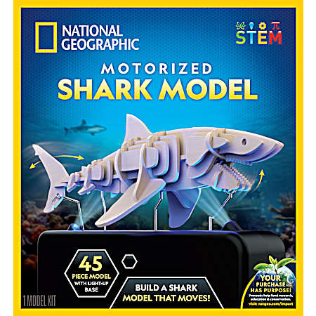 Motorized Shark Model Kit