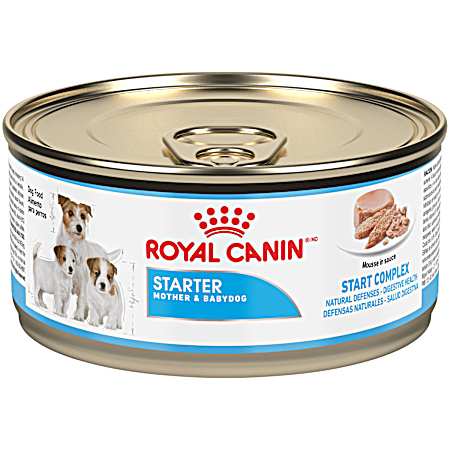 Mother & Babydog Starter Mousse Wet Dog Food, 5.1 oz Can