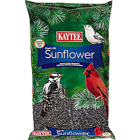 Black Oil Sunflower Wild Bird Food, 10 lbs