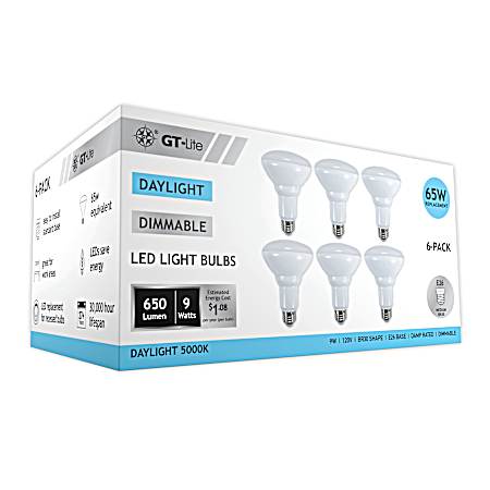 Dimmable BR30 Light Bulb 650 Lumen 5000K - 6 Pk