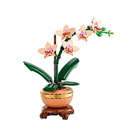 Botanicals Mini Orchid 10343