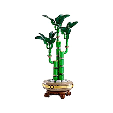 Botanicals Lucky Bamboo 10344