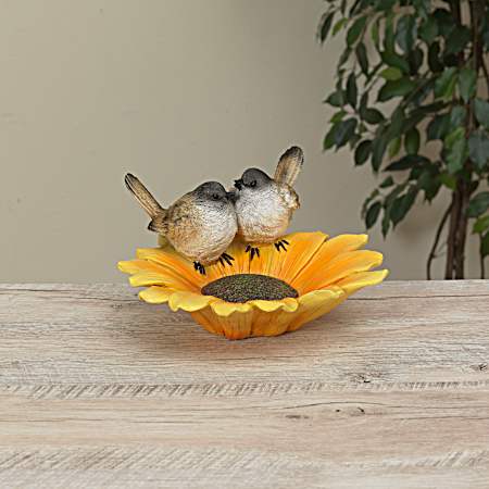 Birds on Sunflower Bird Feeder