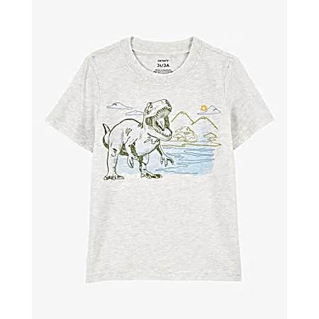 Toddlers' Grey Dinosaur Graphic Short Sleeve Shirt